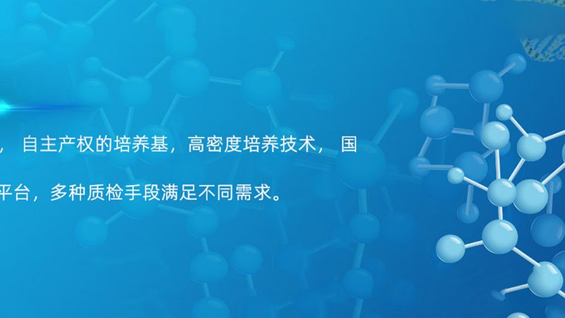 PCR检测试剂套装：揭秘其批发报价背后的秘密